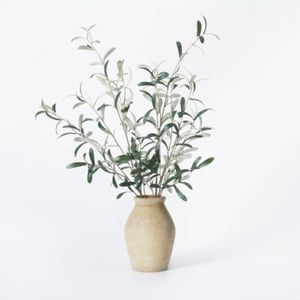 STUDIO MCGEE OLIVE POTTED ARRANGEMENT